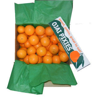 Orangestar ピンズ ピック コンプリート Large Ojai Pixies – Friend's Ranches