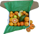 The January Bounty ( Jan 12th)