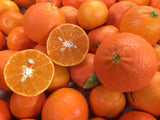 Spring Citrus CSA: 3 or 6 boxes of fruit shipped during peak season!