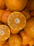 Gold Nugget tangerines