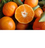 Dancy Tangerines
