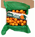 Liddle Ojai Pixie Tangerines