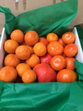 Spring Citrus CSA: 3 or 6 boxes of fruit shipped during peak season!