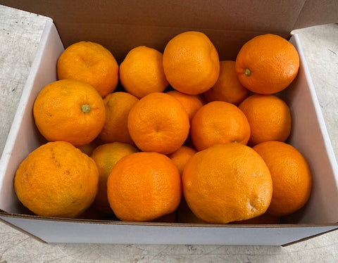 Seville oranges (for cooking only!)