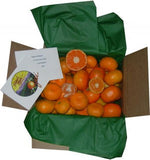 Tasty Ojai Tangerines: a mix of tangerine varieties! (to ship Jan 12th on)